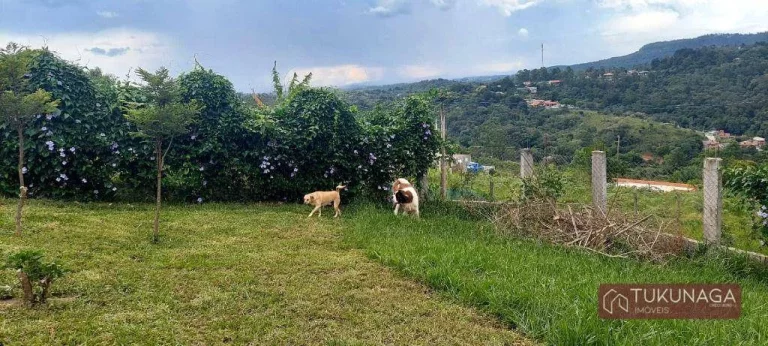 Imagem Chácara com 1 dormitório à venda, 2800 m² por R$ 599.000,00 - Jardim Cinco Lagos - Mairiporã/SP
