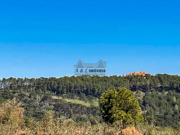 Imagem Terreno 5.268 m² no Alto da Boa Vista em Campos do Jordão com ZR3