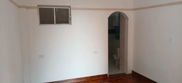 Imagem Apartamento Reformado com 2 quartos na Casper Libero -Luz