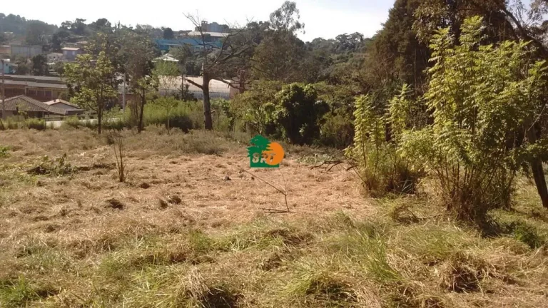 Imagem Área para Venda em São Roque, Centro (são João Novo)