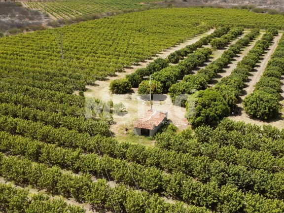 Imagem Lote de 15 hectares, escriturado e quitado na CODEVASF, PETROLINA - PE