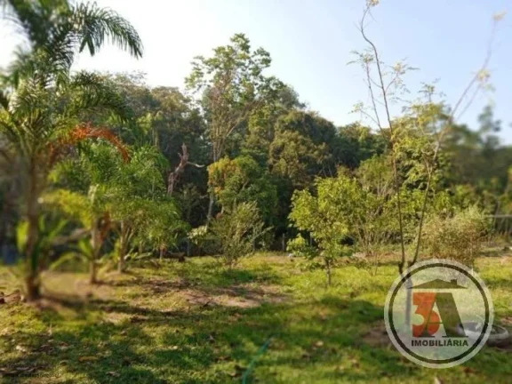 Imagem Chácara 2,5 hectares no Areia Branca