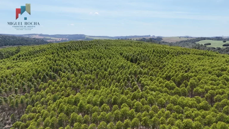 Imagem Fazenda a venda em São Miguel Arcanjo SP