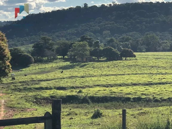 Imagem Fazenda em São Carlos SP
