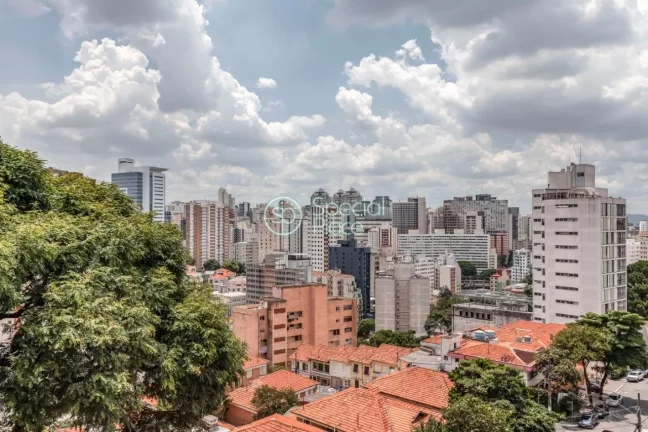 Imagem Apto rico em iluminação natural e repleto de janelas grandes. Vista eterna e para as arvores e o m...