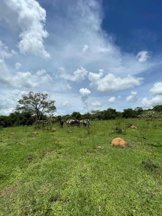 Imagem Fazenda à Venda – 117,3 Hectares em Luziânia-GO