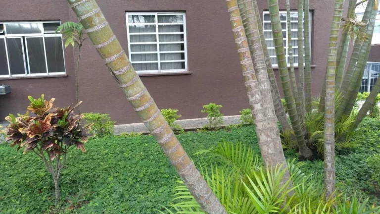 Imagem Apartamento com 2 Quartos à Venda, 48 m² em Belenzinho - São Paulo