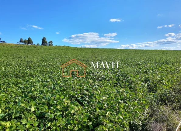 Imagem SITIO RURAL em CAPÃO ALTO - SC, Capão Alto