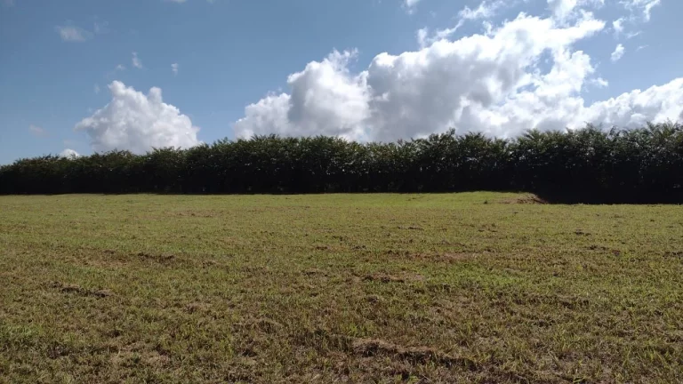 Imagem Terreno à venda, 1000 m² por R$ 160.000,00 - Centro - Avaré/SP