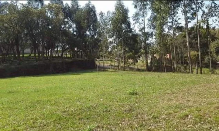 Imagem Chácara para Venda em Quitandinha, Rio da Várzea