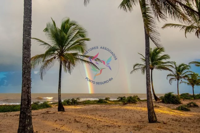 Imagem Pé na Areia - Linda Propriedade com 200 m de Praia - 15 ha.