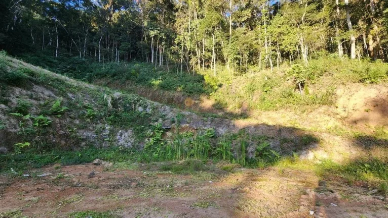 Imagem Terreno para Venda em Teresópolis / RJ no bairro Três Córregos