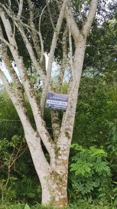 Imagem Terreno para Venda em Itanhaém, Parque Vergara