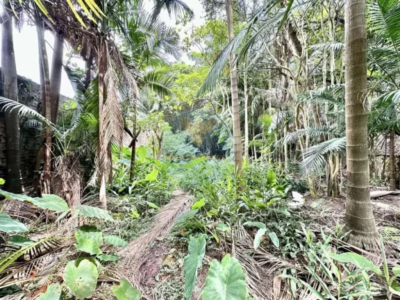 Imagem Lote a Venda no bairro Granja Viana - Cotia, SP