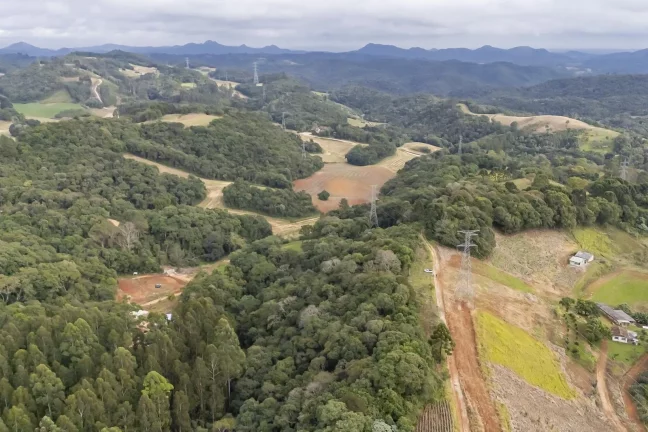 Imagem Chácara em Campo Magro com 24.200 m²