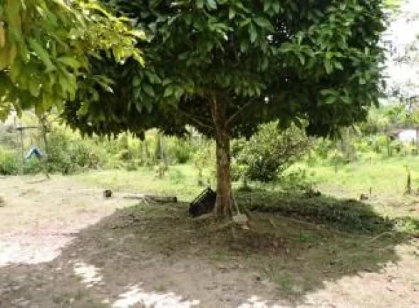 Imagem Terreno para Venda em Itanhaém, Aguapeú