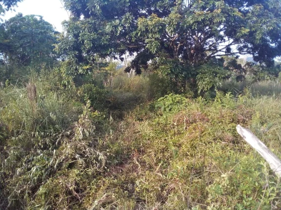 Imagem Terreno para Venda em Itanhaém, Aguapeú