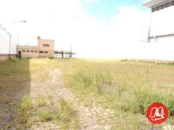 Imagem Terreno para alugar, 8000 m² por R$ 54.020,52/mês - São João - Porto Alegre/RS