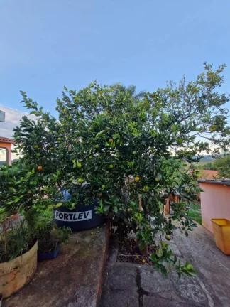 Imagem CHÁCARA COM ÓTIMA LOCALIZAÇÃO NO JARDIM CANANEIA - PILAR DO SUL