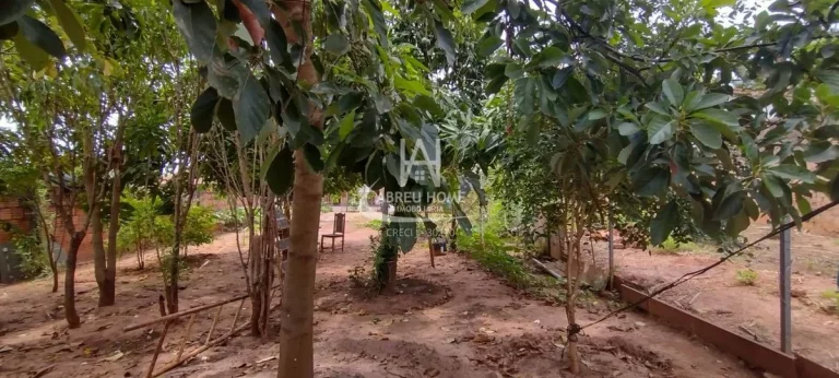 Imagem Terreno à Venda - São José do Rio Preto