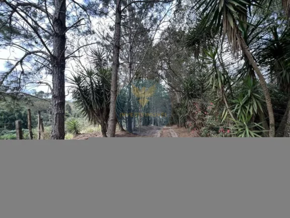 Imagem Área a Venda no bairro Granja Viana - Cotia, SP