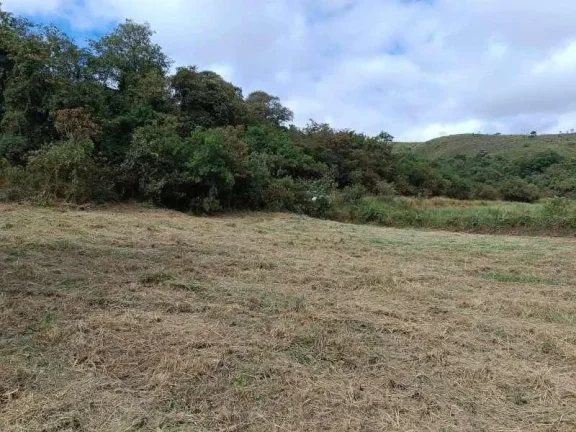 Imagem Oportunidade Única: Terreno de 5.500m2 em Campolide