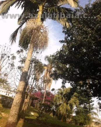 Imagem Chácara para Venda em Atibaia, Belvedere, 3 dormitórios, 1 suíte, 3 banheiros, 5 vagas