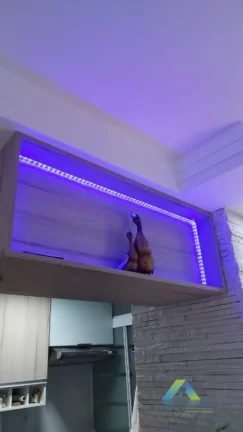 Imagem Apartamento com 2 dormitórios à venda, 50 m² por R$ 320.000,00 - Jardim Celeste - São Paulo/SP