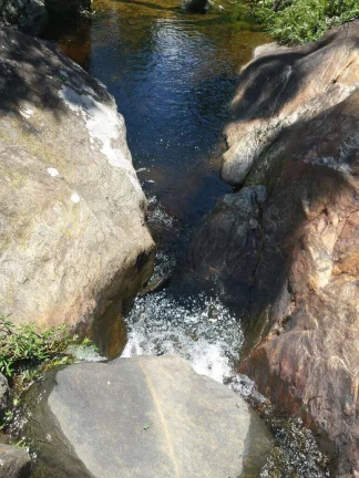 Imagem VENDO FAZENDA FICA A 25 KM DO CENTRO DE ANGRA 116 Hectares, MUITA ÁGUA