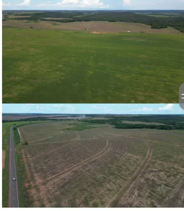 Imagem VENDO ESTA FAZENDA PRODUTIVA EM MATO GROSSO.