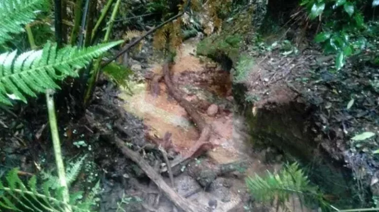 Imagem Chácara à venda em Campo Largo/PR