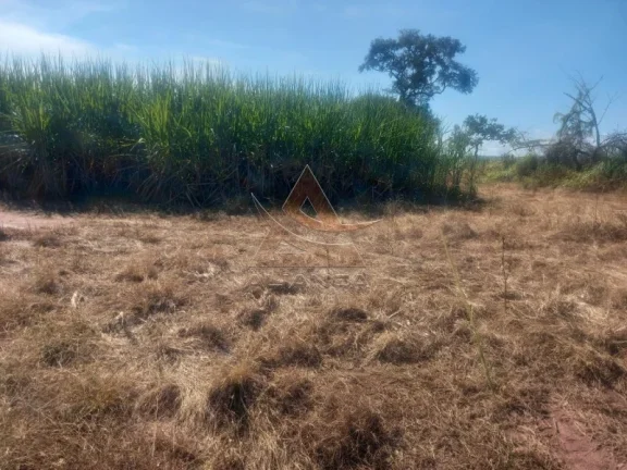 Sítio - Santo Antônio da Alegria - Zona Rural