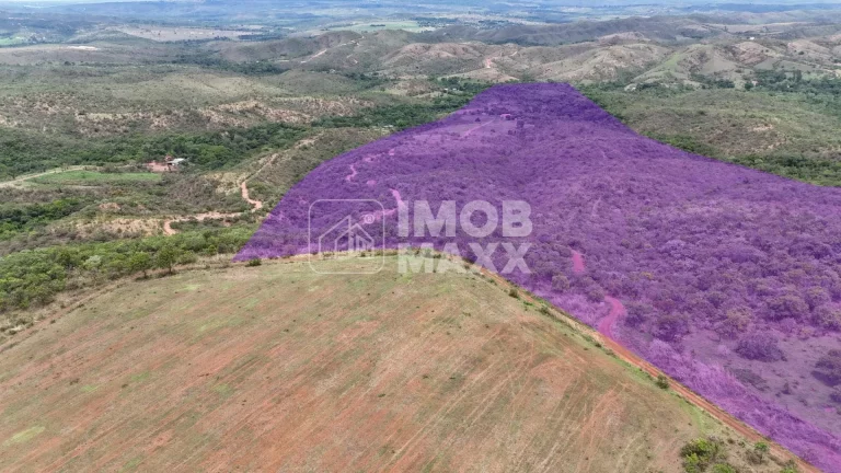 Imagem Chácara a venda 35 hectares - Formada - Nascente e Poço Artesiano - Rural - Paranoá - DF.