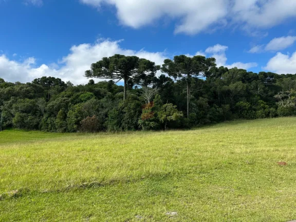 Imagem TERRENO EM CONDOMÍNIO à venda com 6250.86m² por R$ 660.000,00 no bairro planta laranjeiras - PIRAQUARA / PR