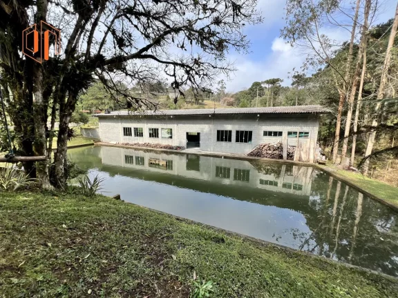 Imagem Chácara para Venda em São José dos Pinhais, Borda do Campo