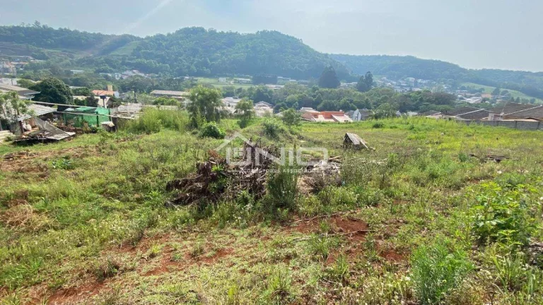 Imagem Terreno Urbano Francisco Beltrão
