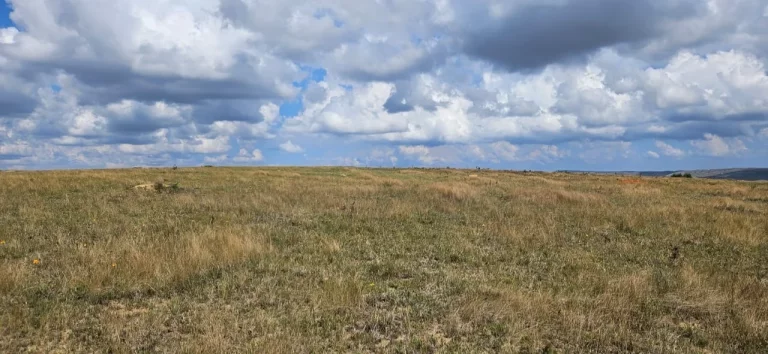 Imagem FAZENDA À VENDA EM DELFINÓPOLIS - MG COM 430 ALQUEIRES