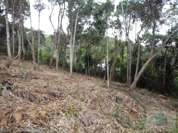 Imagem Chácara em Biritiba Mirim - Aceita Troca e Proposta! Ótima Localização!