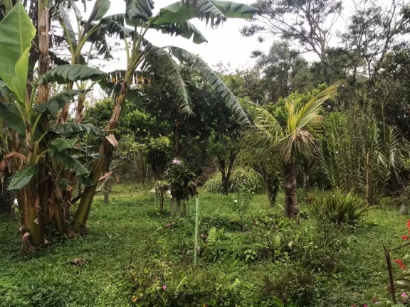 Imagem Chácara com 4 dormitórios à venda, 8 m² por R$ 700.000,00 - Jardim das Lavras - Suzano/SP