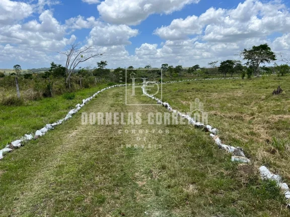 Imagem Fazenda Com 2 casas curral, açudes, poço, 7.500hc as margens da bar. tapacurá