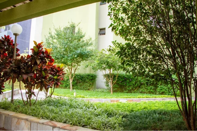Imagem Apartamento com 2 Quartos à Venda, 50 m² em Vila Mascote - São Paulo