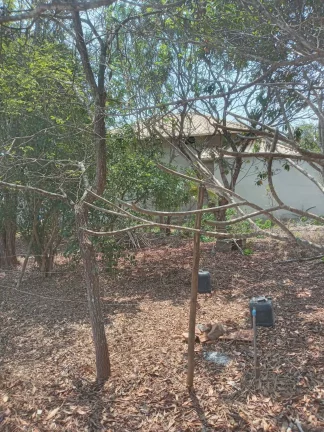 Chácara à Venda, 1.999 m² em Condomínio Estância Da Cachoeira - Brumadinho
