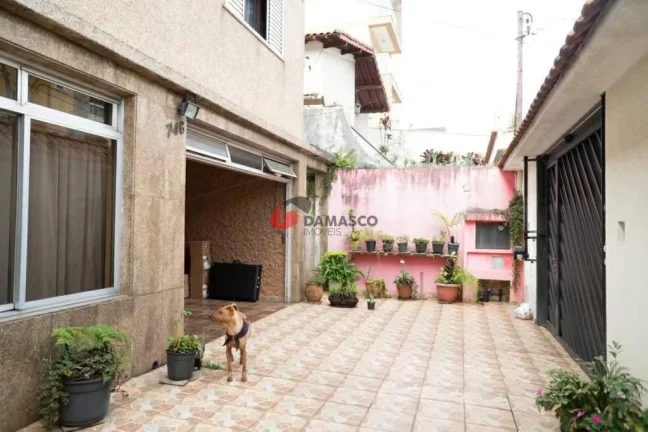 Imagem Sobrado à venda 3 Quartos, 3 Vagas, 192M², Campestre, Santo André - SP