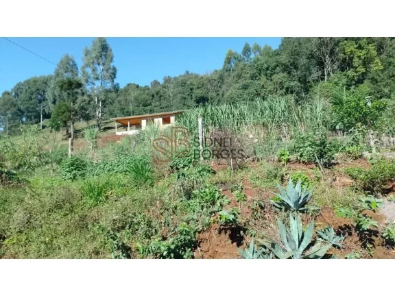Imagem Sítio CONCÓRDIA - SC