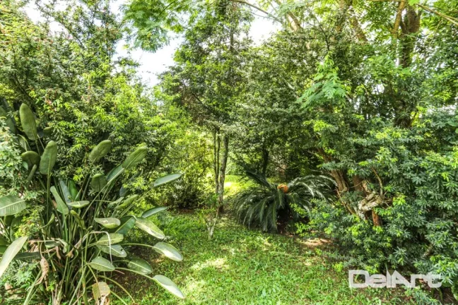 Imagem TERRENO COM POTENCIAL PARA CASAS ALTO PADRÃO - AO LADO DO PARQUE SÃO LOURENÇO