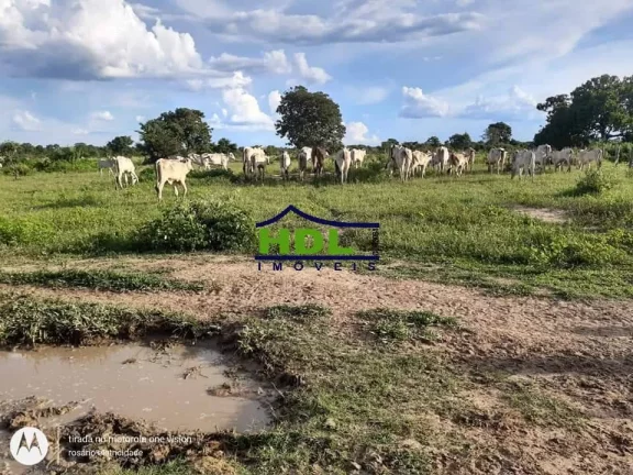 Imagem Fazenda 318 Alqs Barranca do Rio Araguaia em Araguaiana/MT