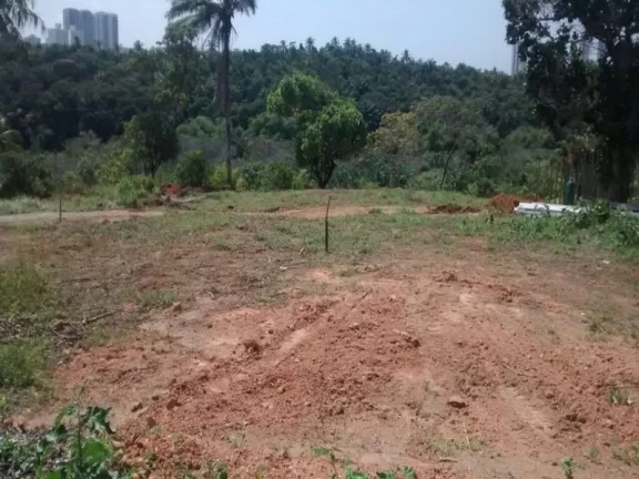 Imagem A 5ª Avenida Imóveis selecionou para você essa ÁREA com 15.903,00m2, ótima topografia, ideal para Implantação SEDE DE EMPRESAS e ou INCORPORAÇÃO