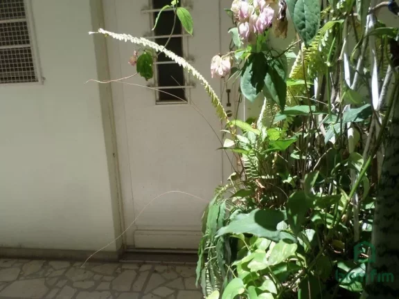 Imagem Apartamento para venda, 3 quarto(s), Centro Histórico, Porto Alegre/RS - AP2733