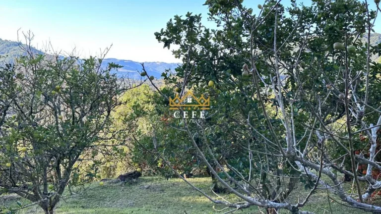 Imagem Chácara - Sítio com 4 Dormitorio(s) localizado(a) no bairro Linha Imperial em Nova Petrópolis / RIO GRANDE DO SUL Ref.:1506