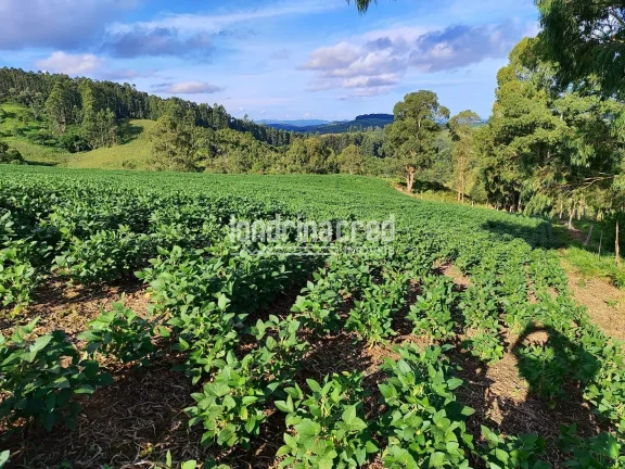 Imagem Chácara à venda 744000M², Zona Rural, Castro - PR